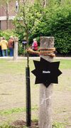 Das ist er - der Baum, der unseren Namen trägt