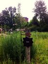 Das Bild zeigt den Baum RHADE am 17. Juli 2019