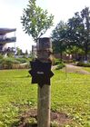 So sieht es heute im Obsthain des Bürgerparks Maria-Lindenhof aus. Dank der sofortigen Reaktion der Verwaltung
