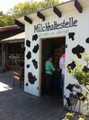 Milch ist zur Zeit im Überfluss vorhanden. Milchhaltestelle in Lembeck