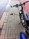 Akute Sturzgefahr
