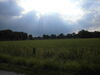Ein Blick in die Rhader Wiesen