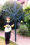 So sieht er aus, der Rhader Symbolbaum, der am 1.Juli im Bereich Schlehenweg/Dillenweg gepflanzt wird