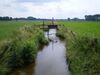 Wer etwas bewegen will, muss sich einmischen und auch mal gegen den Strom schwimmen