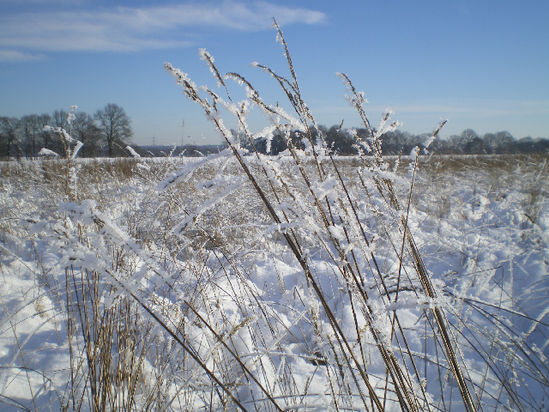 Winterzauber in Rhade